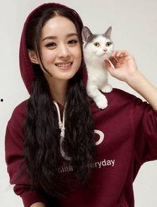 娱乐爆料热点赵丽颖,娱乐圈再掀波澜 第2张 娱乐爆料热点赵丽颖,娱乐圈再掀波澜 第2张